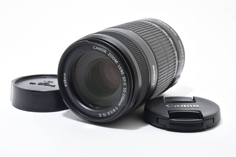 実用 Canon キャノン EF S 55 250 mm 4 5 6 IS II AFレンズ 4015