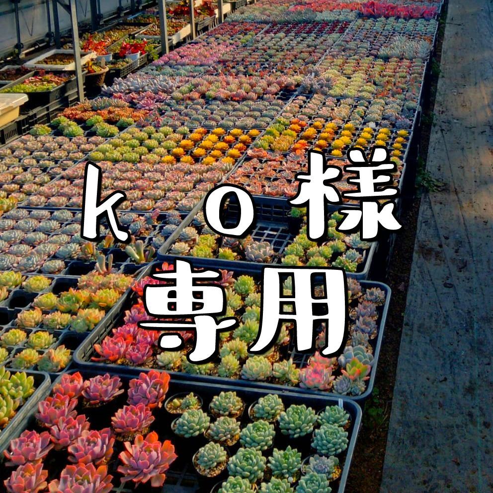 ko様専用 - メルカリ