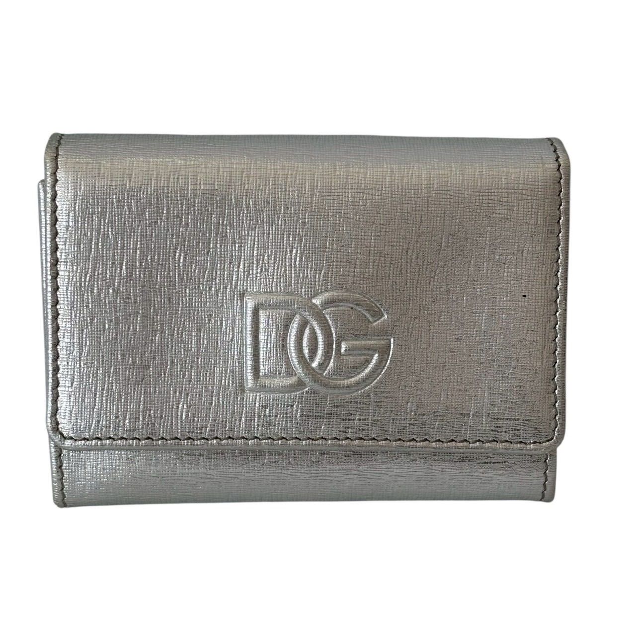 DOLCE＆GABBANA ドルチェ ガッバーナ D G ドルガバ カードケース パスケース 名刺入れ コンパクト ロゴ レザー シルバー
