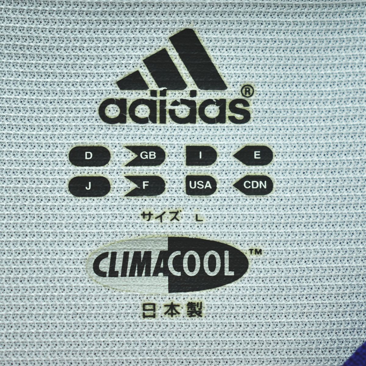 2002 日韓W杯