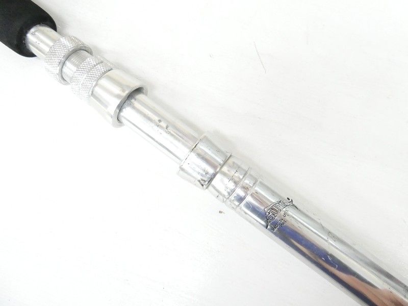 シルバーヘミングウェイ