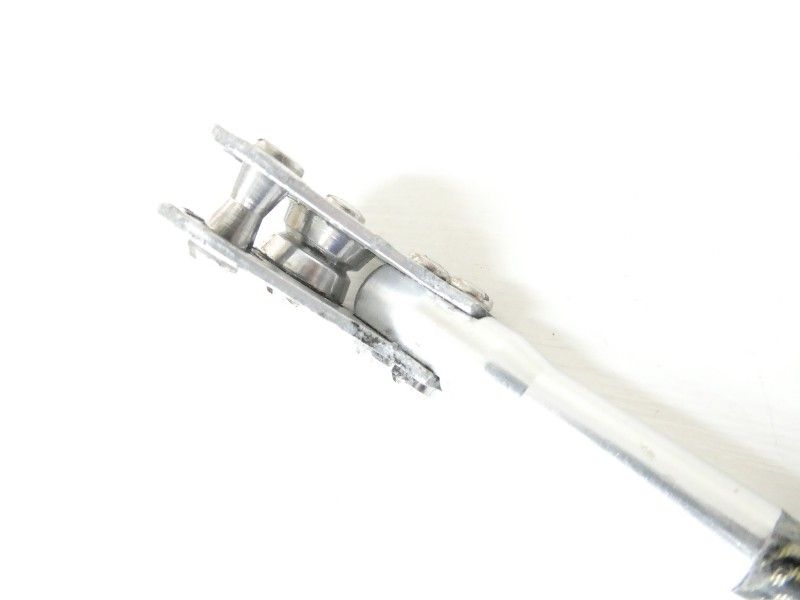 シルバーヘミングウェイ 30 lb 04