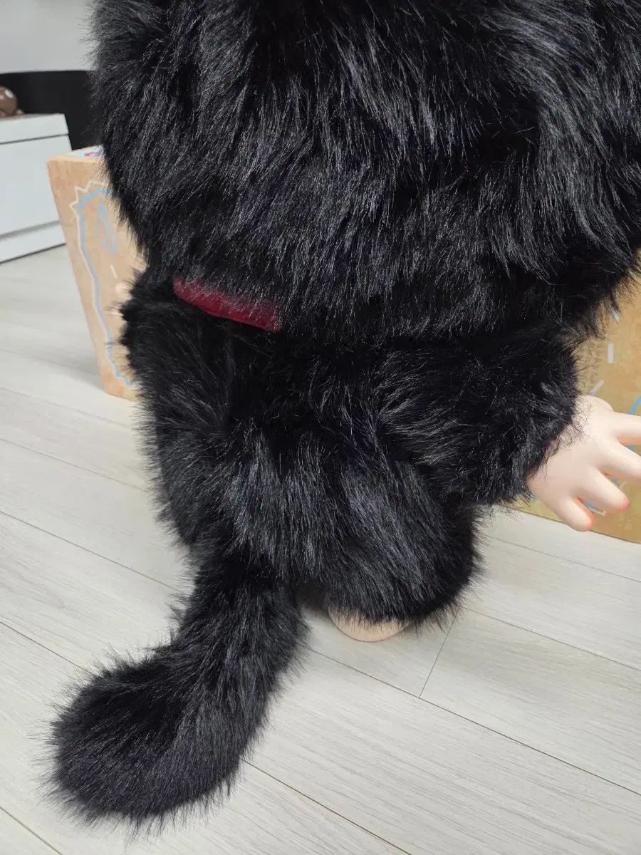 ベイビースリー 1000%(ぬいぐるみ(大)) 黒猫 かわいい目 ストア