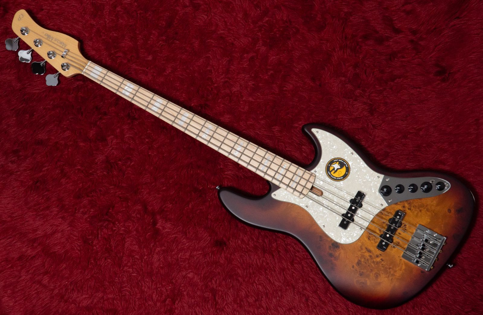 Sire V 7 Ash 4 REI TS S 743 kg GIB横浜