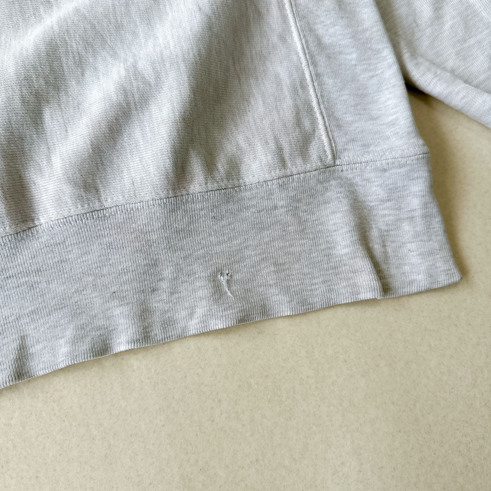 Champion チャンピオン リバースウィーブ SOUTH CAROLINA カレッジロゴ 