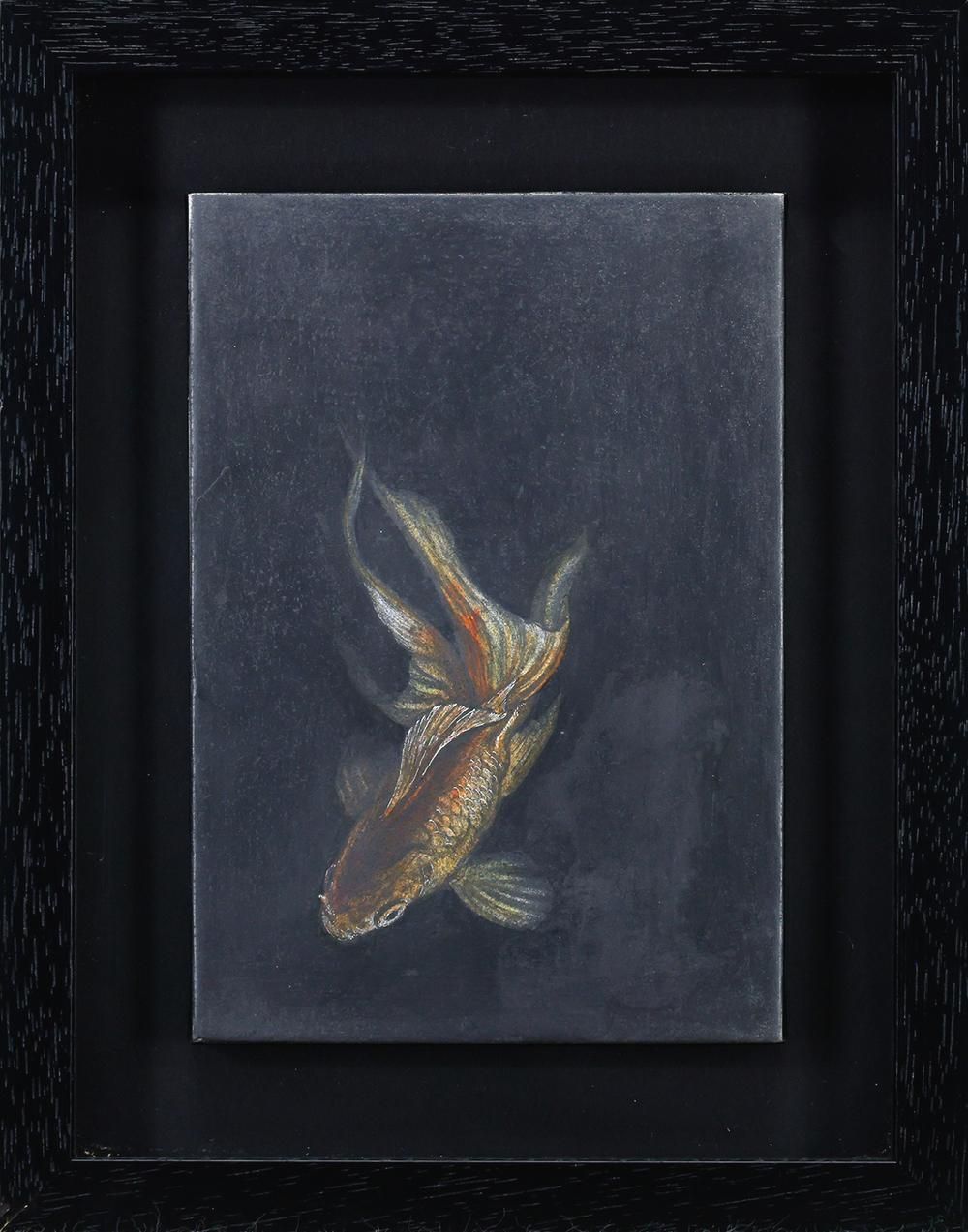 真作 WISH 平松佳和 たゆたう 鉛筆 水彩 2010年作 証明シール 黒の中をゆらぐ金魚 〇東京藝術大学大学院修了