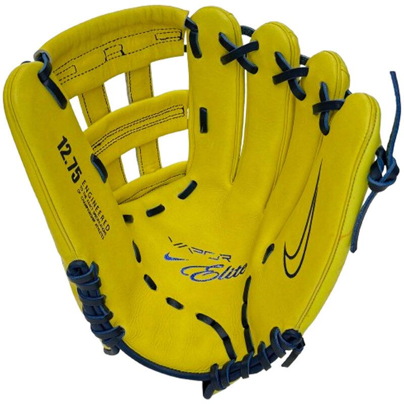 ナイキ NIKE 軟式用グラブ ヴェイパーエリートアクーニャ H-ウェブ