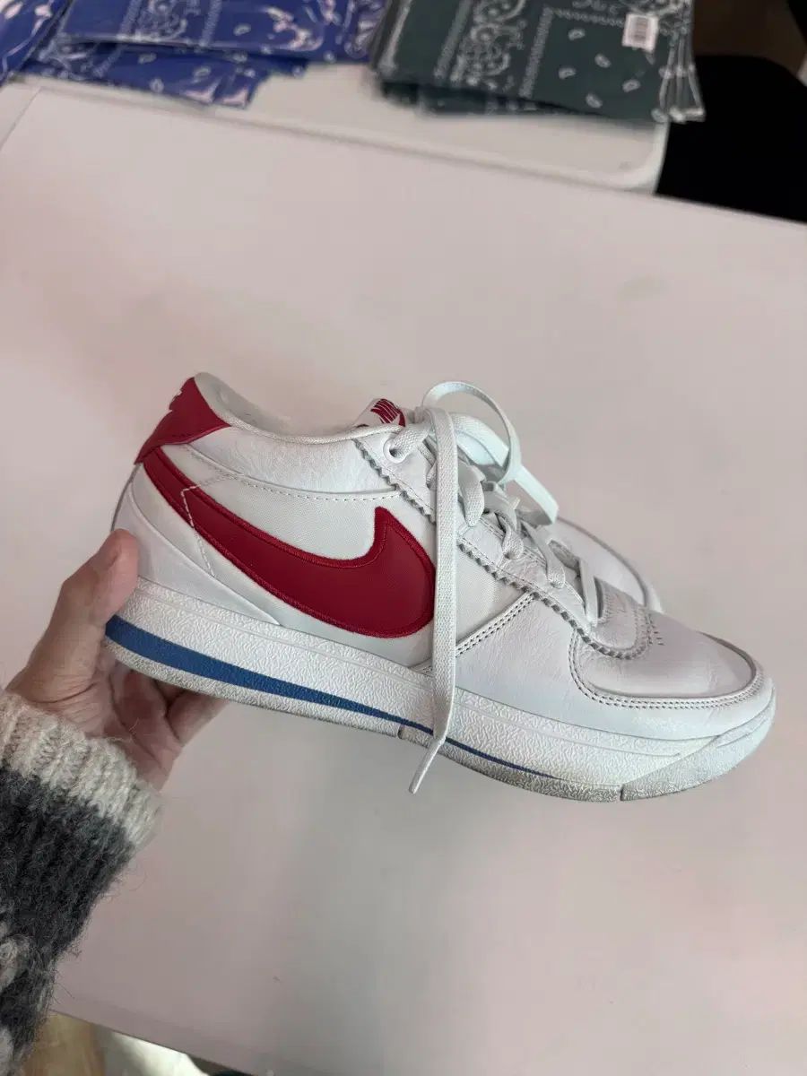 ナイキ BOOK 1 フォレストガンプ