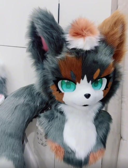 ファースーツ 着ぐるみセット NO 326 犬 ダークグレー ケモノ 全頭ヘッド ぬいぐるみ コスプレ コスチューム