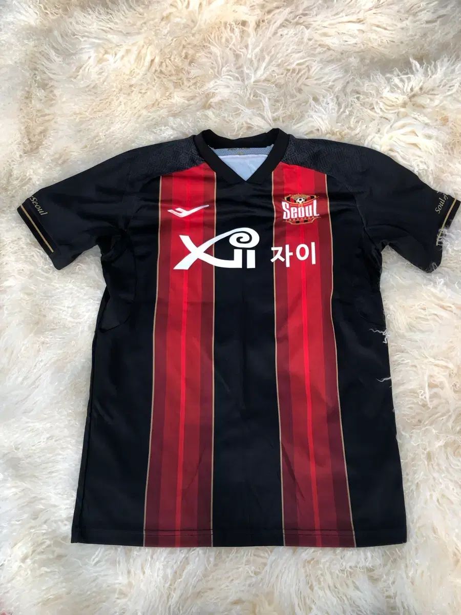 22シーズン FCソウル 奇 誠庸 キ ソンヨン 100