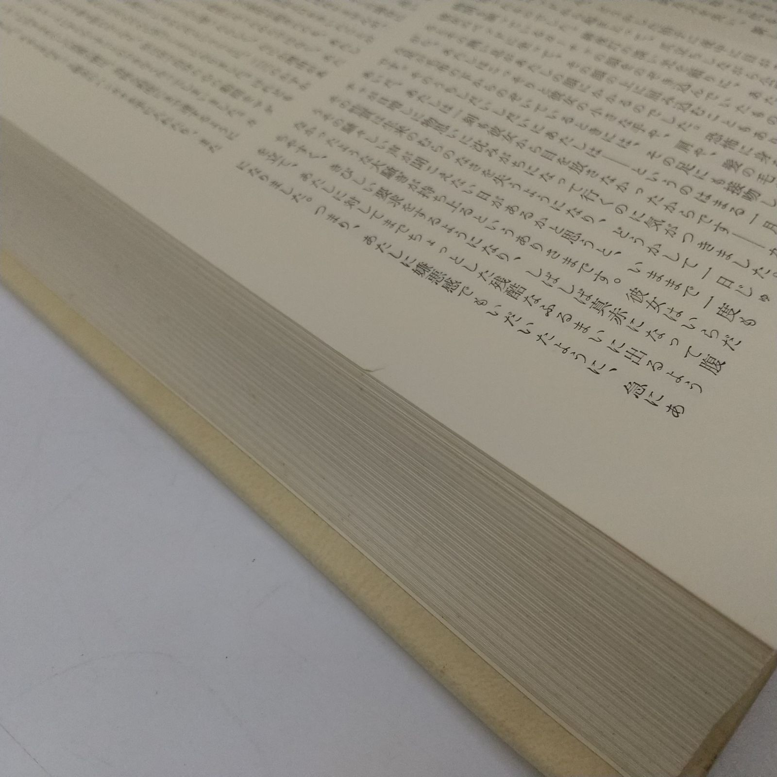 ドストエフスキー小説全集1 10巻