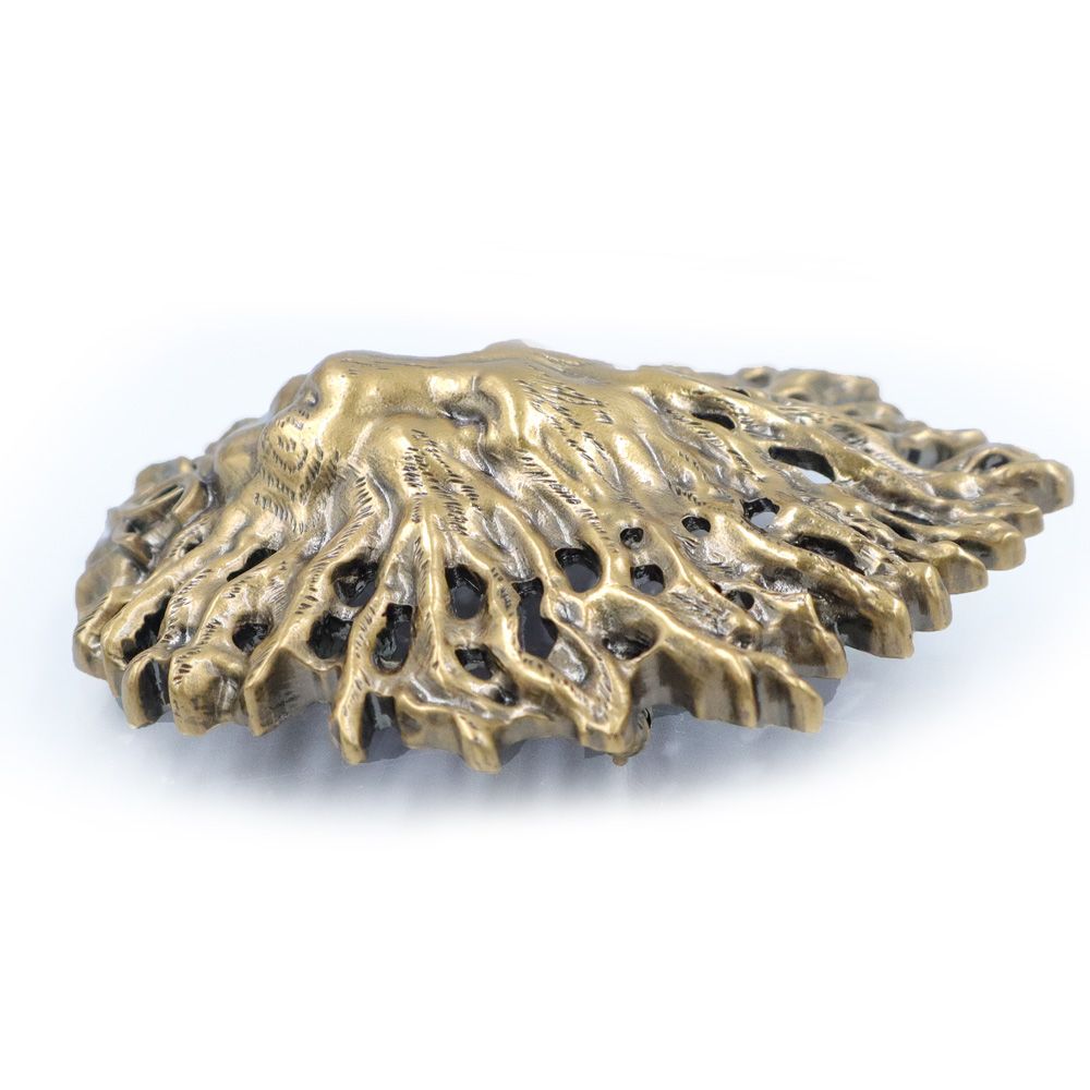 シャネル ココマーク ライオン ブローチ メタル ゴールド 箱付 CHANEL