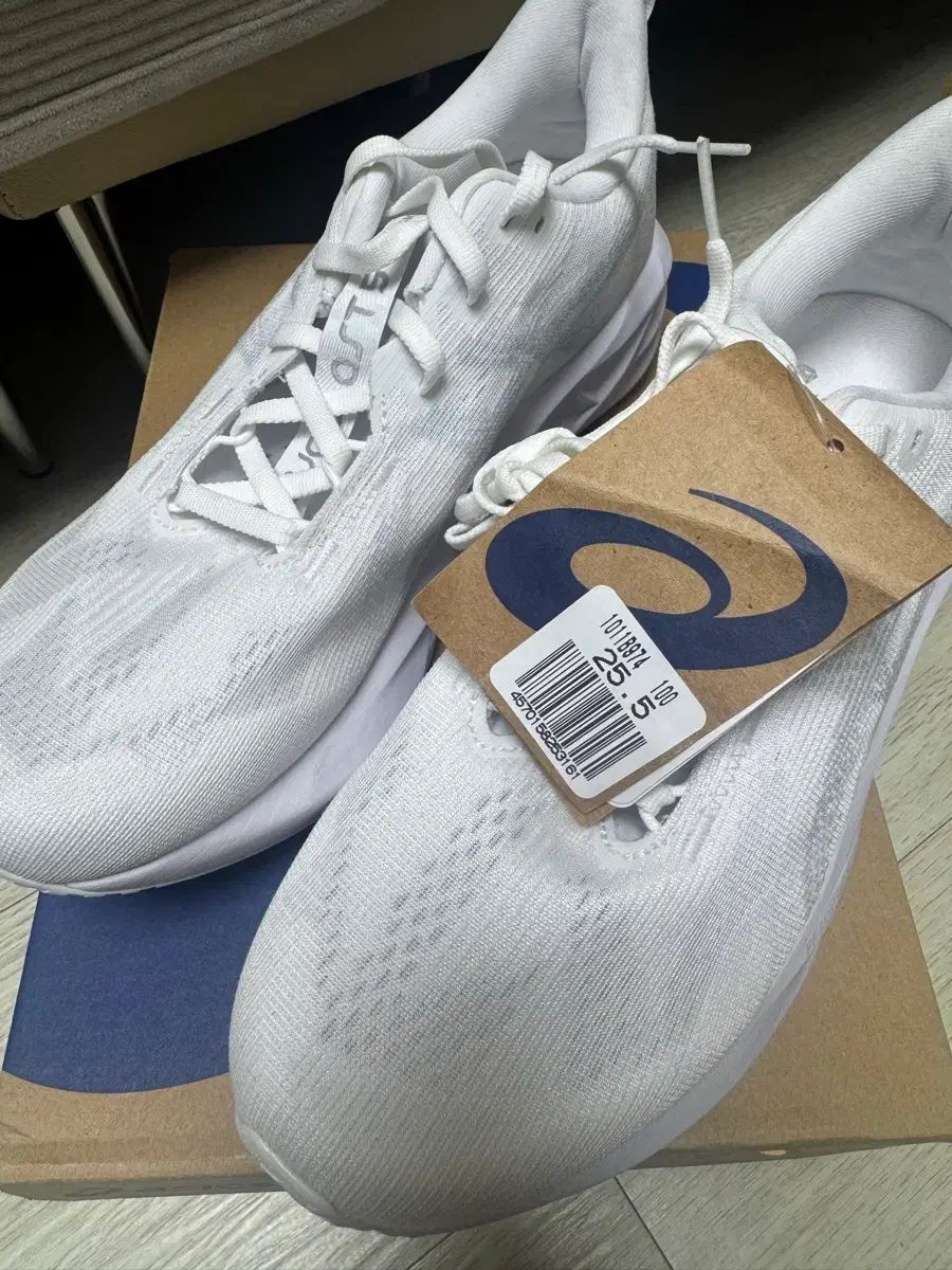 アシックス NOVA BLAST 5 ホワイト ピードモント グレー 255