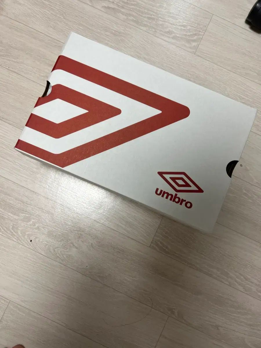 ゼットウィンド