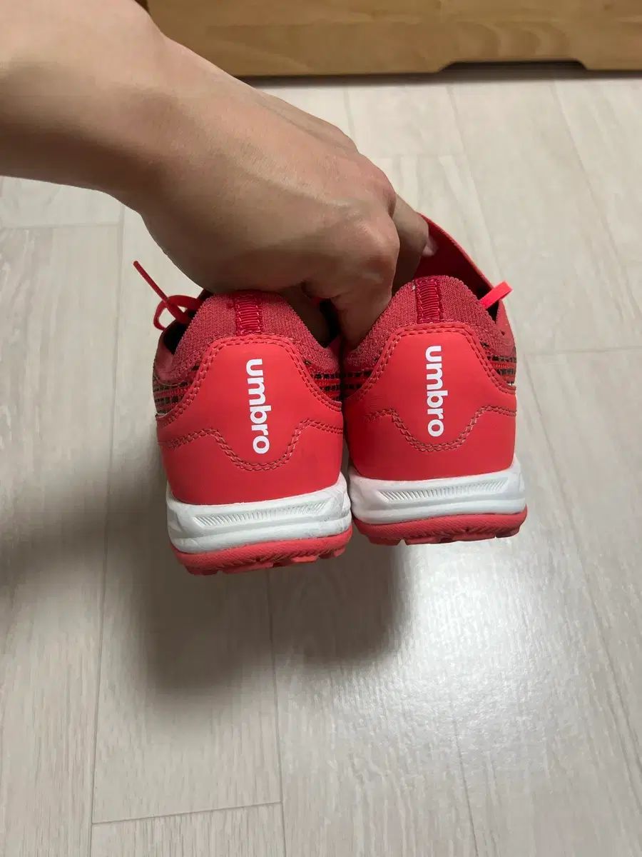 ゼットウィンド