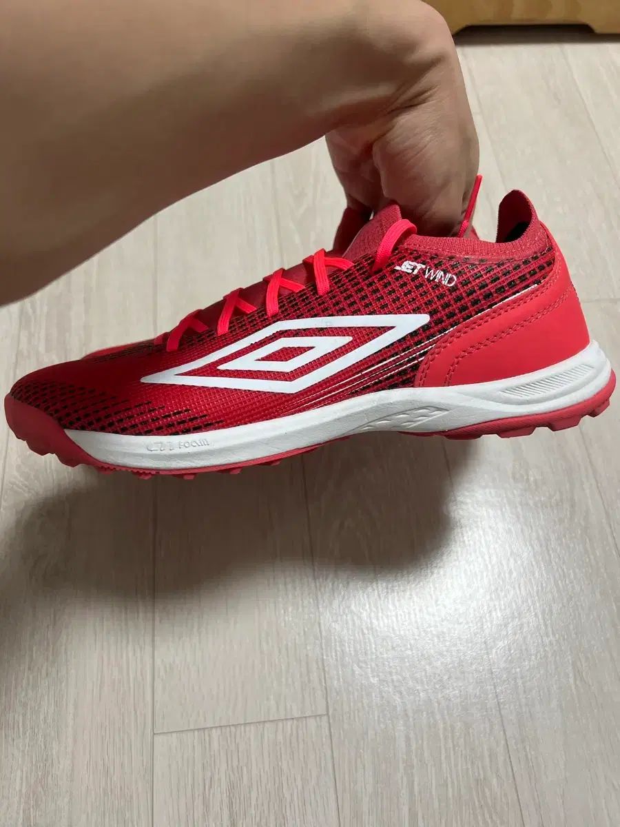 ゼットウィンド tf