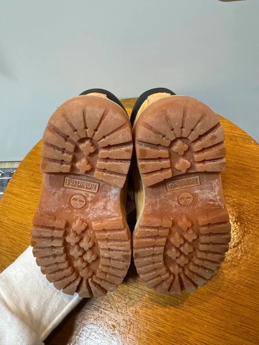 6-Inch - Premium 定番 ティンバーランドキッズ18.5~21.5cm Footwear