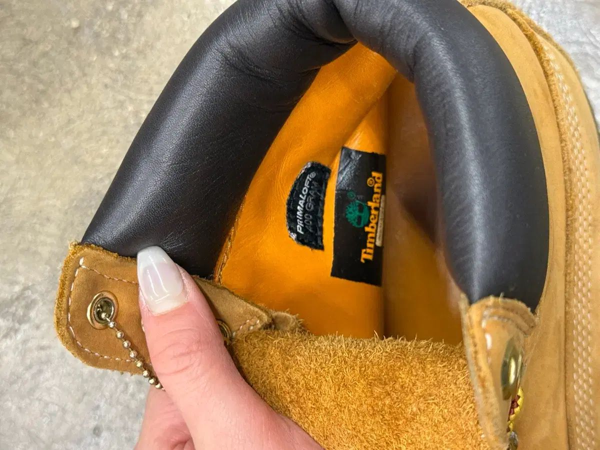 ティンバーランド