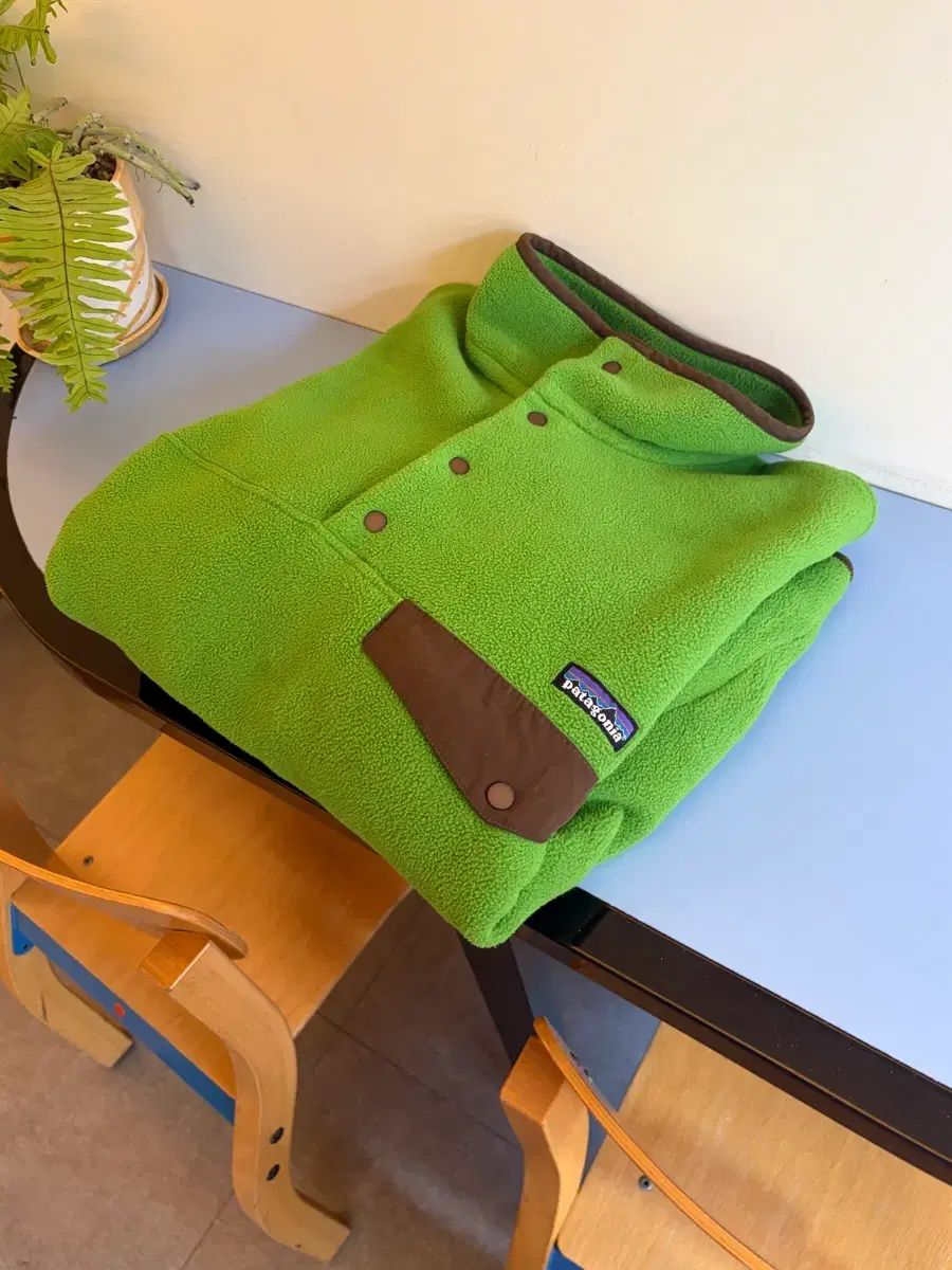 パタゴニア Synchilla シンチラ 緑 メンズ サイズ