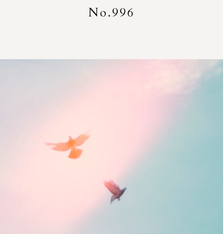 ♥ LINC MAKERS リンクオリジナルメーカーズ 996 オードパルファム 50 ml フォロー割