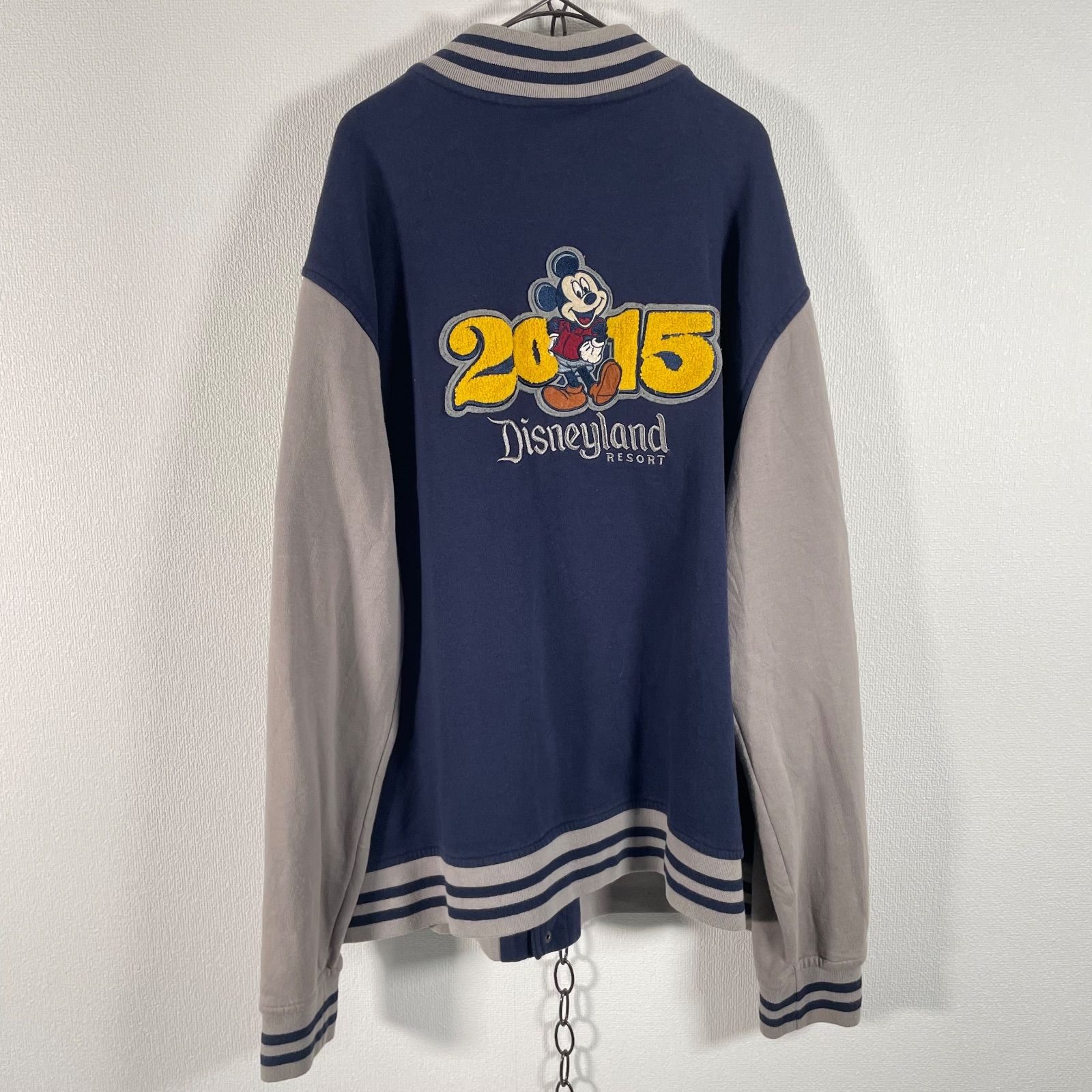 激レア 日本未発売 Disney Parks ウォルトディズニーワールド ミッキー