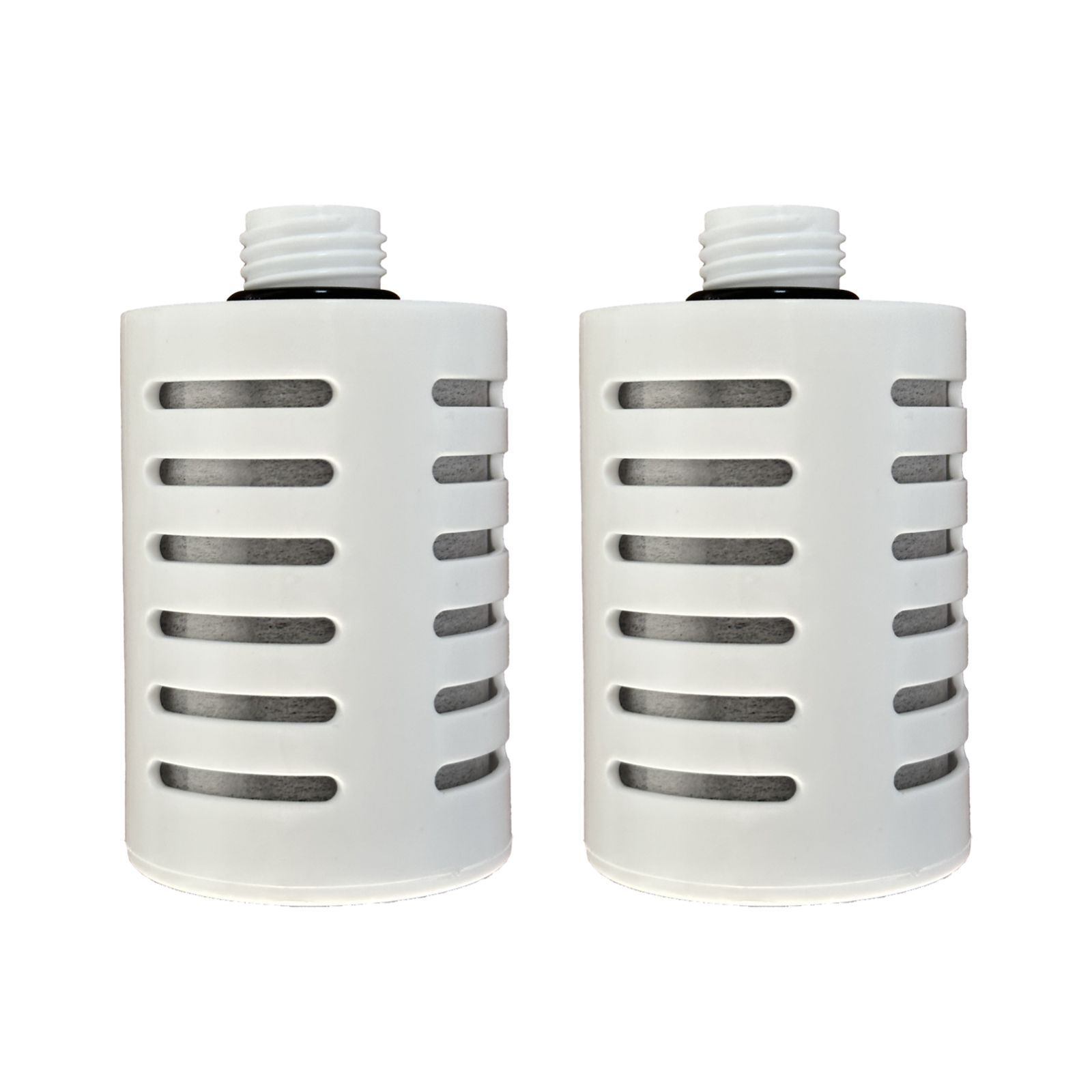 ガイアの水135 水筒型用カートリッジ ガイアライトボトル プッシュ型浄水ボトル ビビアンクラブ 本体は です