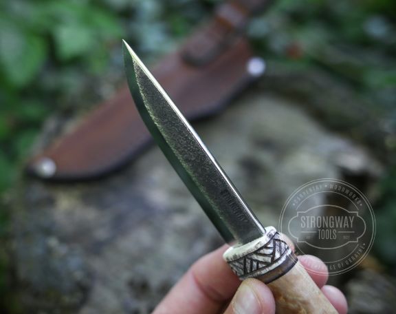 カーリーバーチ