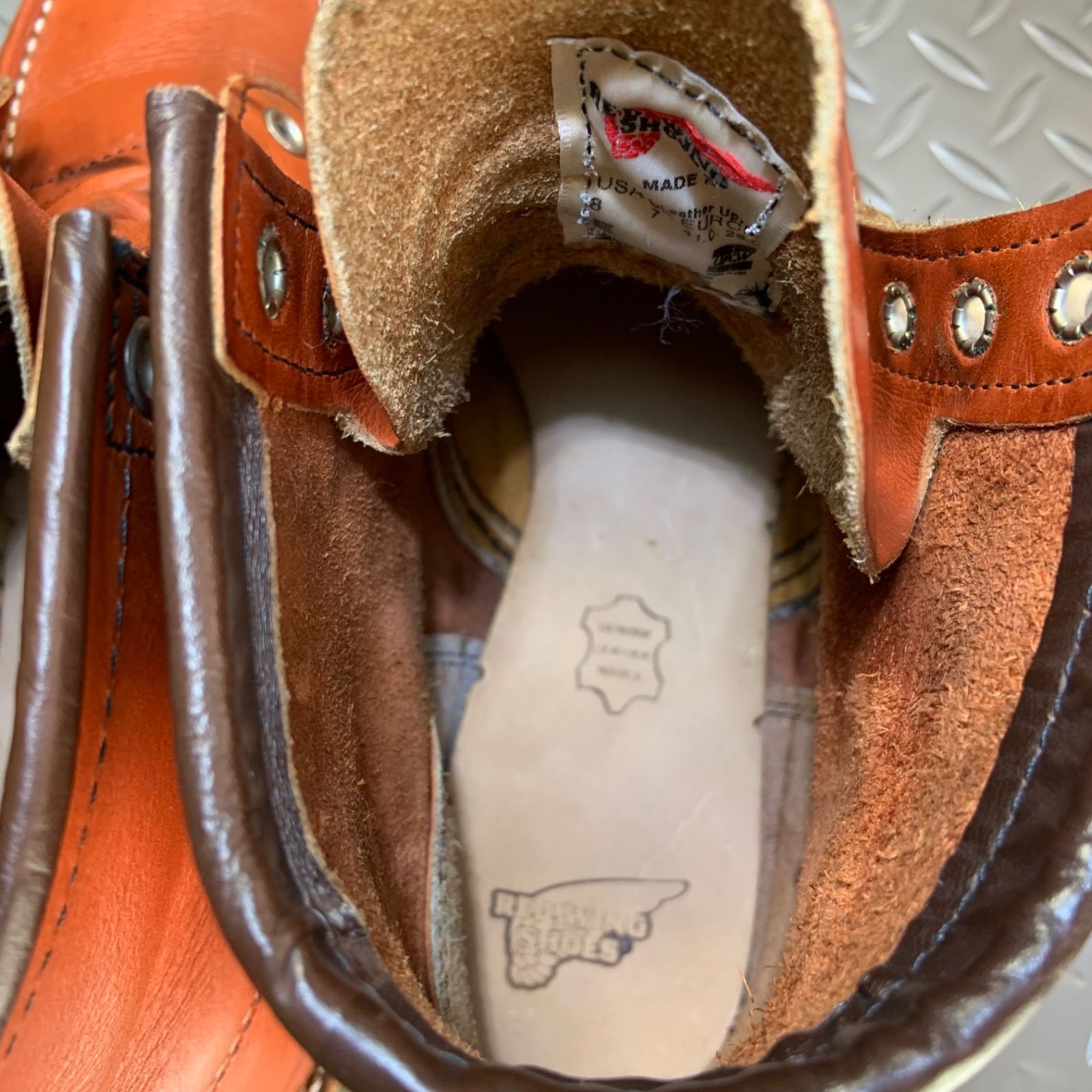 26㎝ レッドウイング