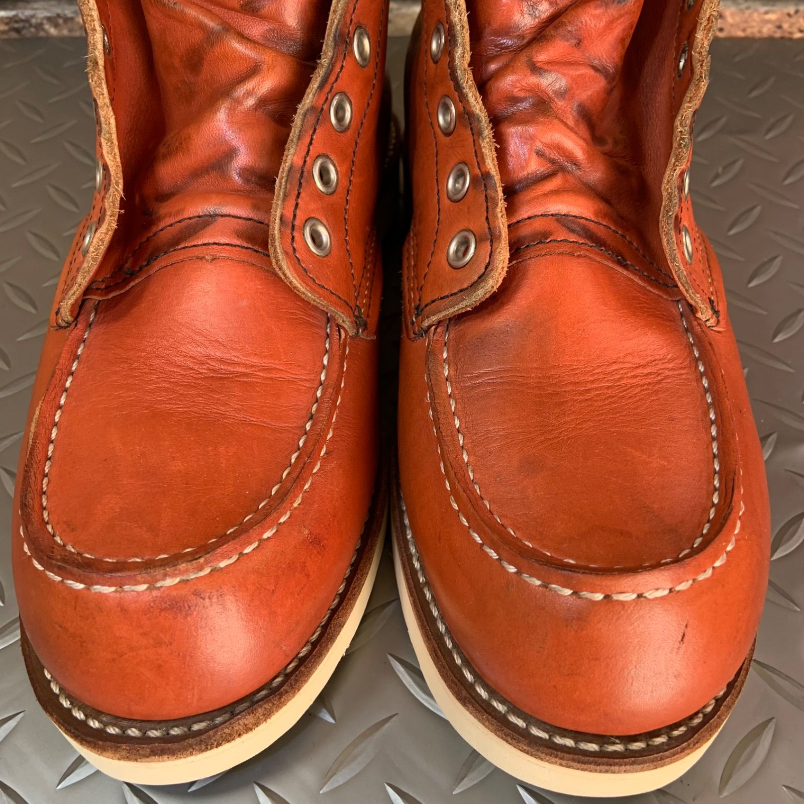 26㎝ レッドウイング