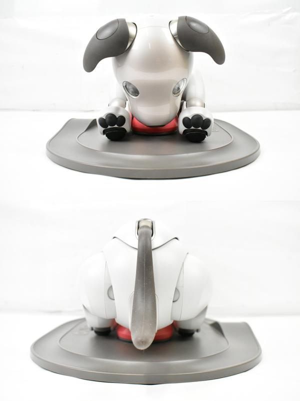 1000 アイボーン