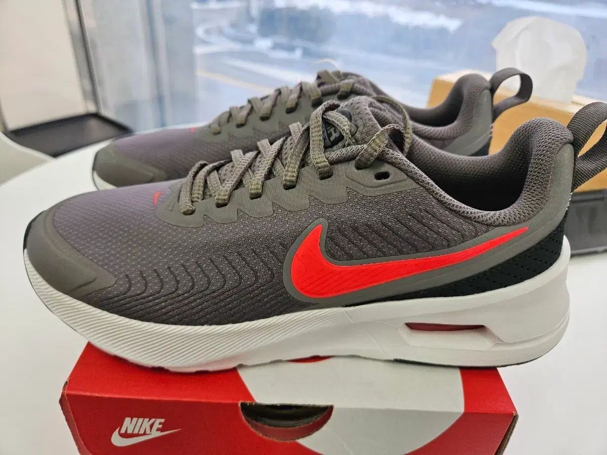 シーグレープ　14 シーグレープ 14