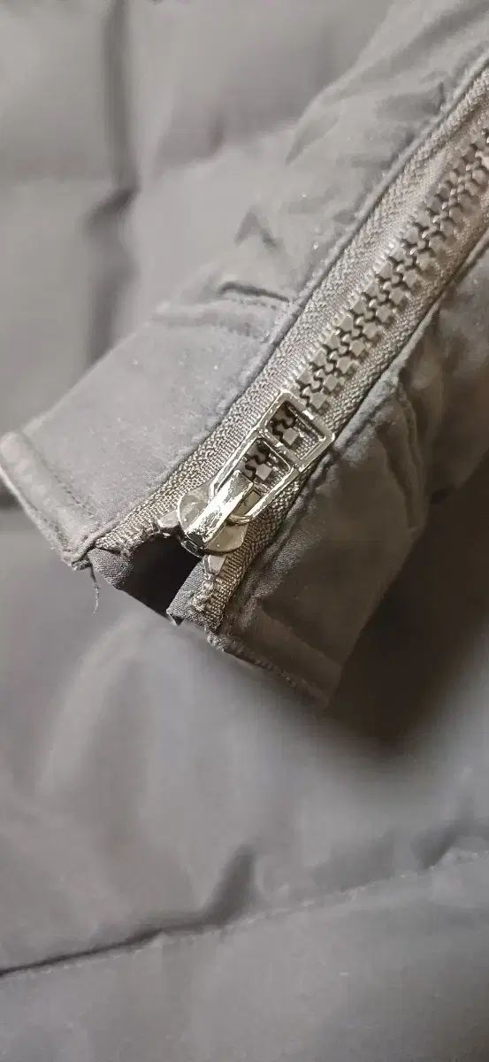 ムースナックルズ