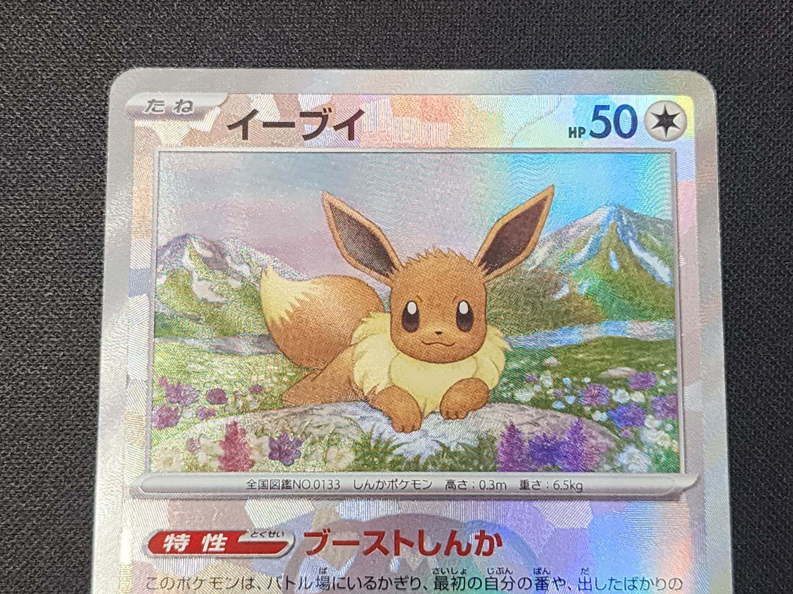 PC ポケモンカード イーブイ 125/187 SV8a マスターボール柄 2枚セット