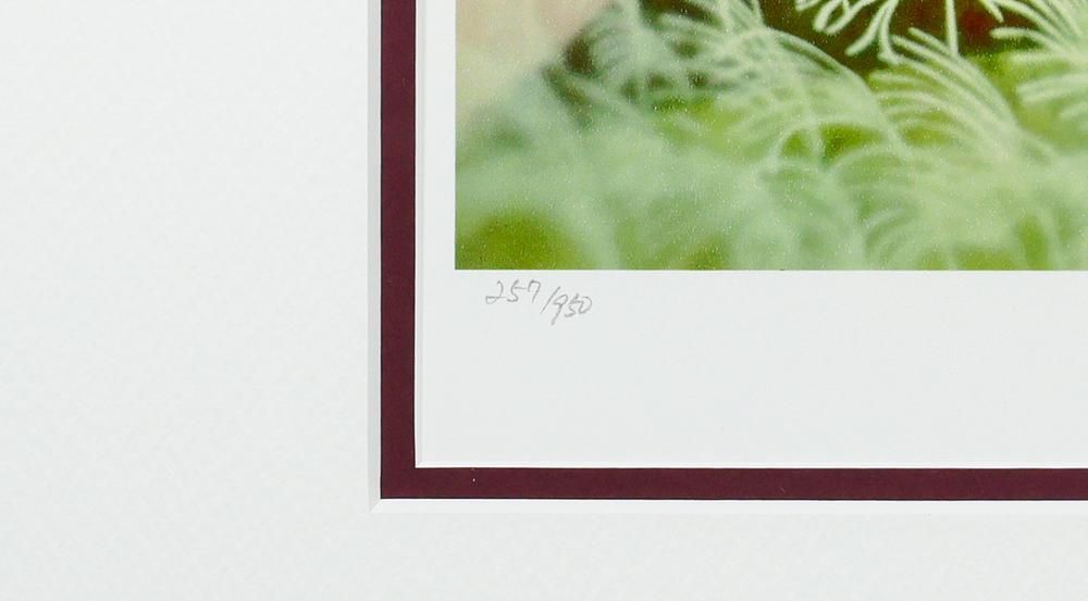 美品 藤城清治「夕日の思い出」レフグラフ 直筆サイン入 証明シール有 お洒落額装 真作】【WISH】藤城清治「夕日の思い出」ダイヤモンド・スクリーニング