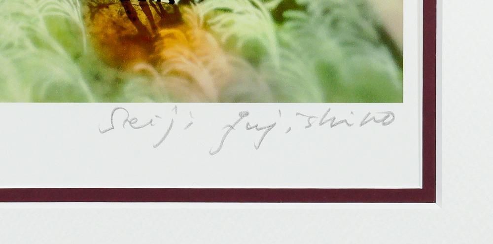 真作】【WISH】藤城清治「夕日の思い出」ダイヤモンド・スクリーニング