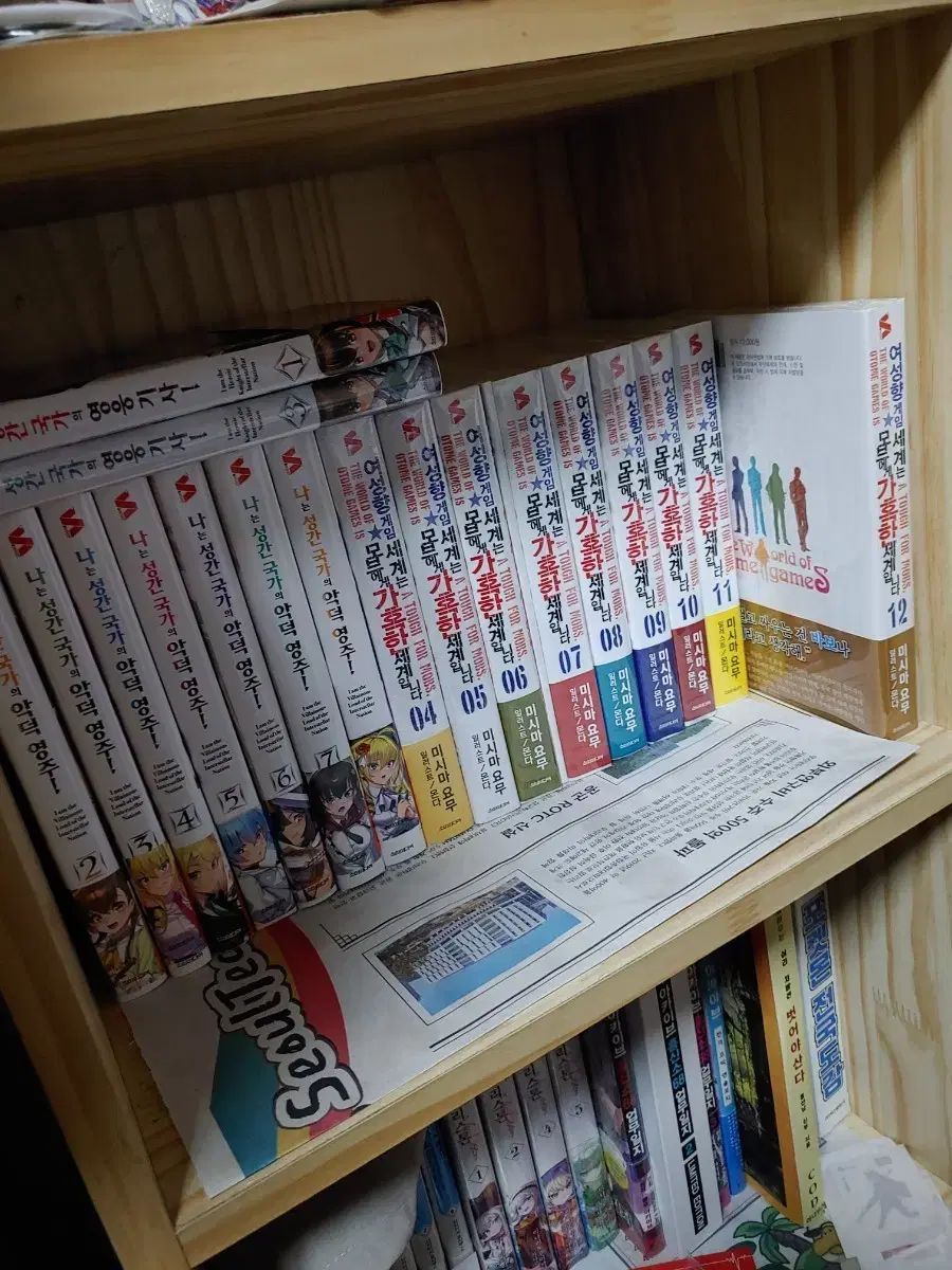 私は 성간 국가의 악덕 영주 レディース향 게임 モブ ミシマ ヨウ