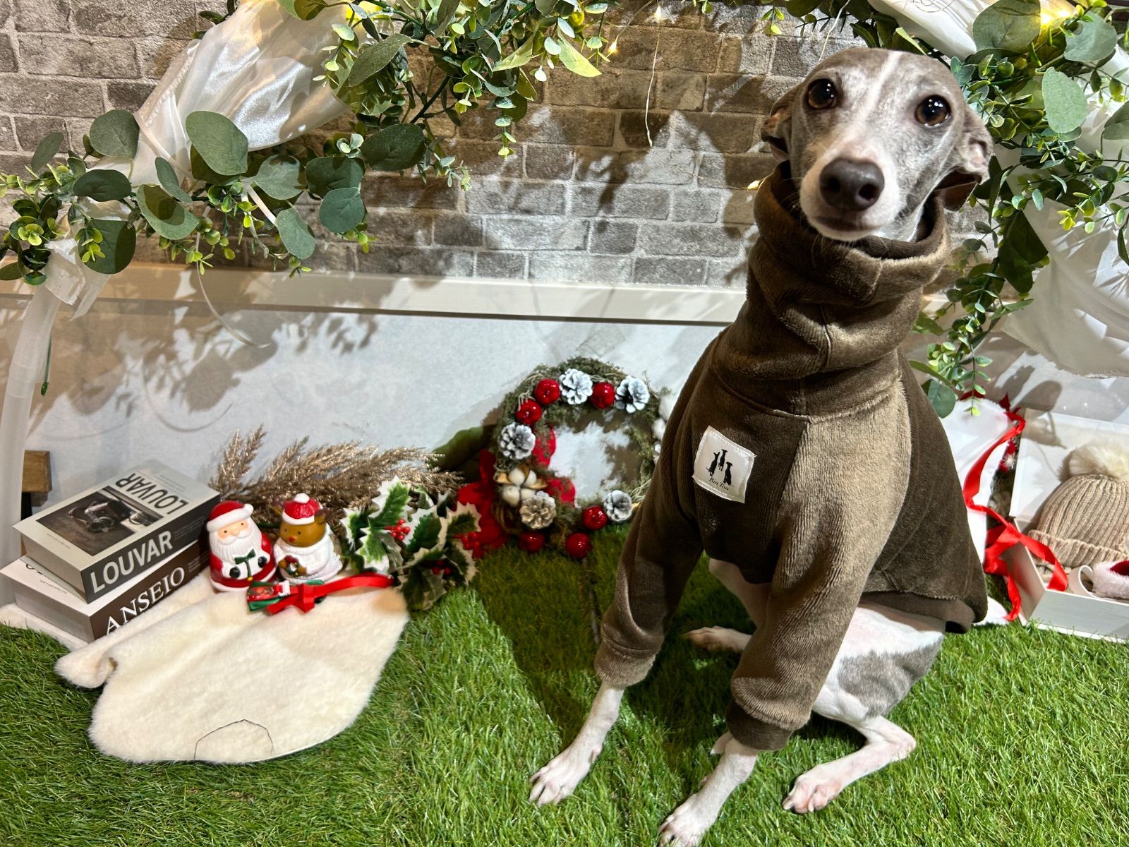 イタグレ服 ロンT ※ラスト1着 現品限り※ - メルカリ