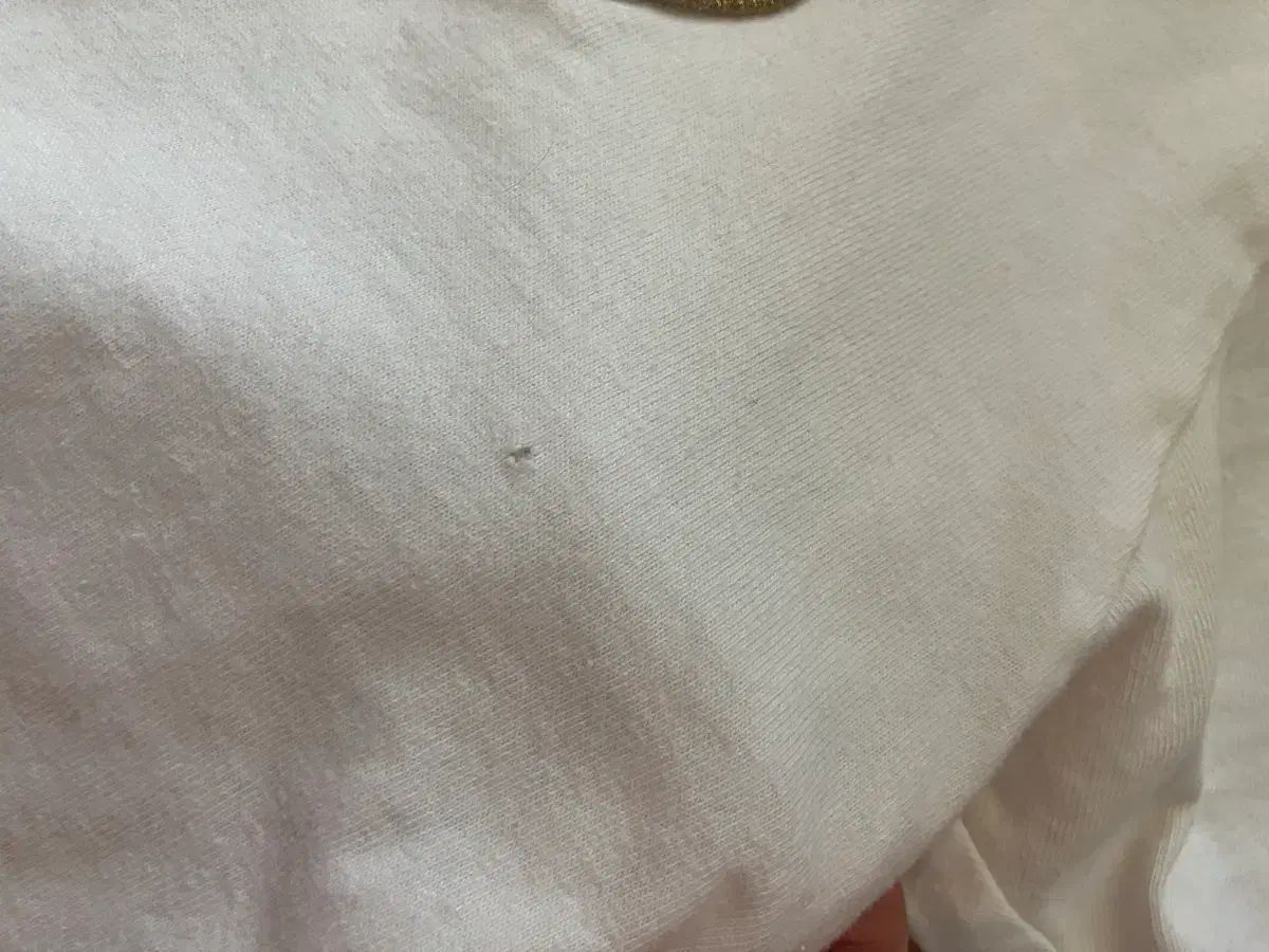  コム デ ギャルソン GOLD ワッペン 半袖 m 半袖(Tシャツ) Tシャツ カットソー