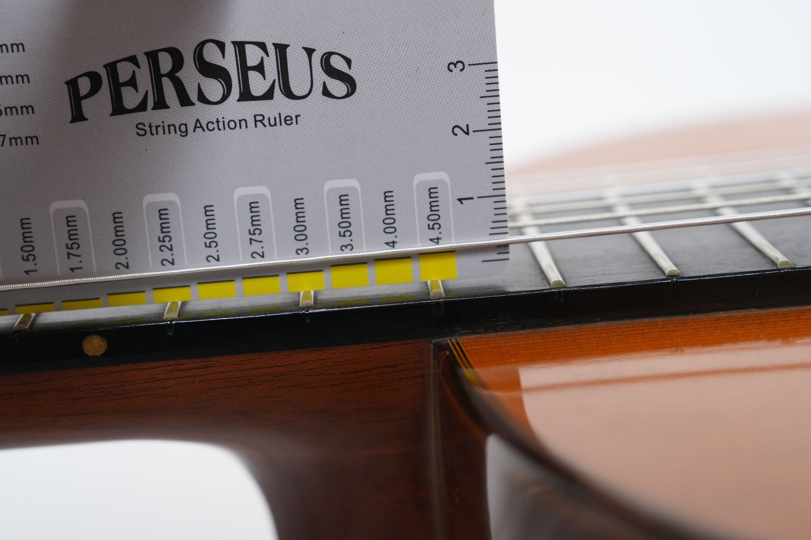 GUITAR ハカランダ