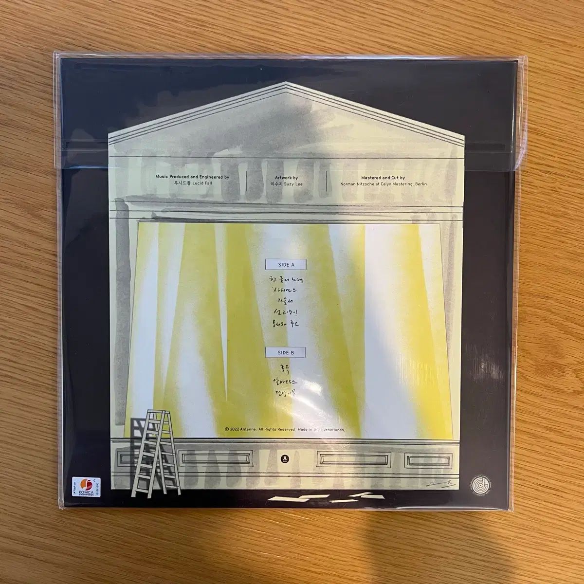 ルーシッド ポール 10 家 ー 声と ギター GUITAR LP