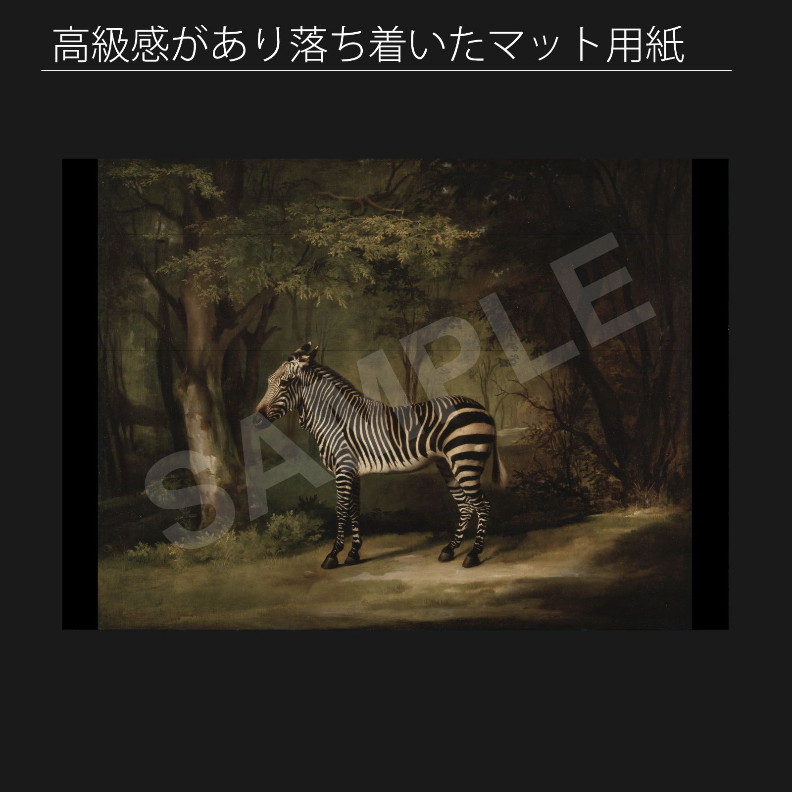 ジョージ スタッブス George Stubbs シマウマ 1763年 アートポスターA 2 マット紙 フレーム付 IN