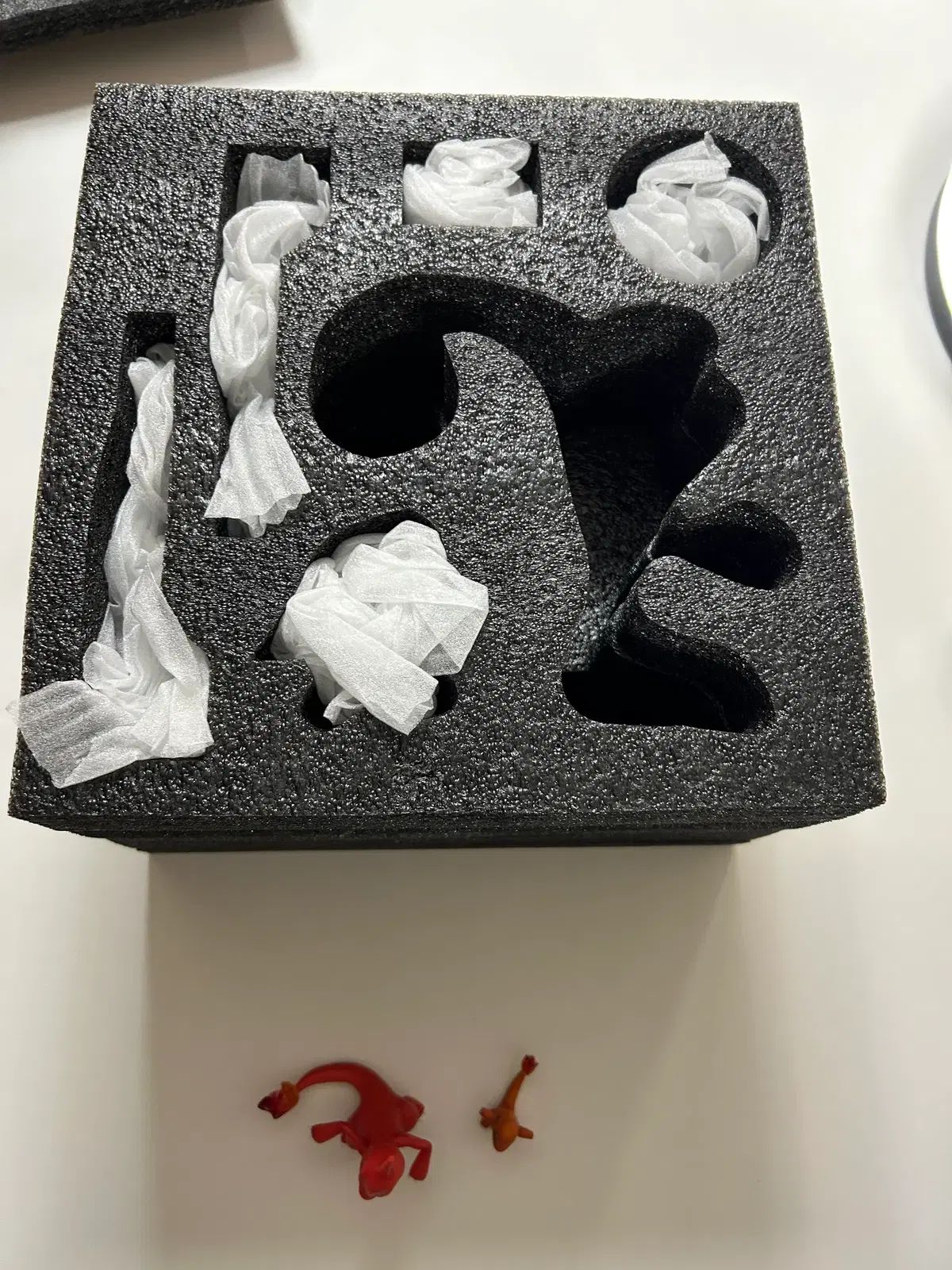 スタジオ リザードン