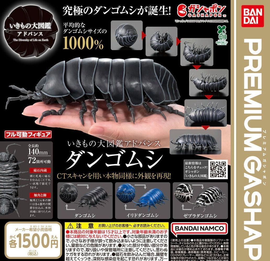ダンゴムシ　ガチャ　コンプリート未開封品 カプセル未開封 いきもの大図鑑アドバンス ダンゴムシ 全3種 ガチャ