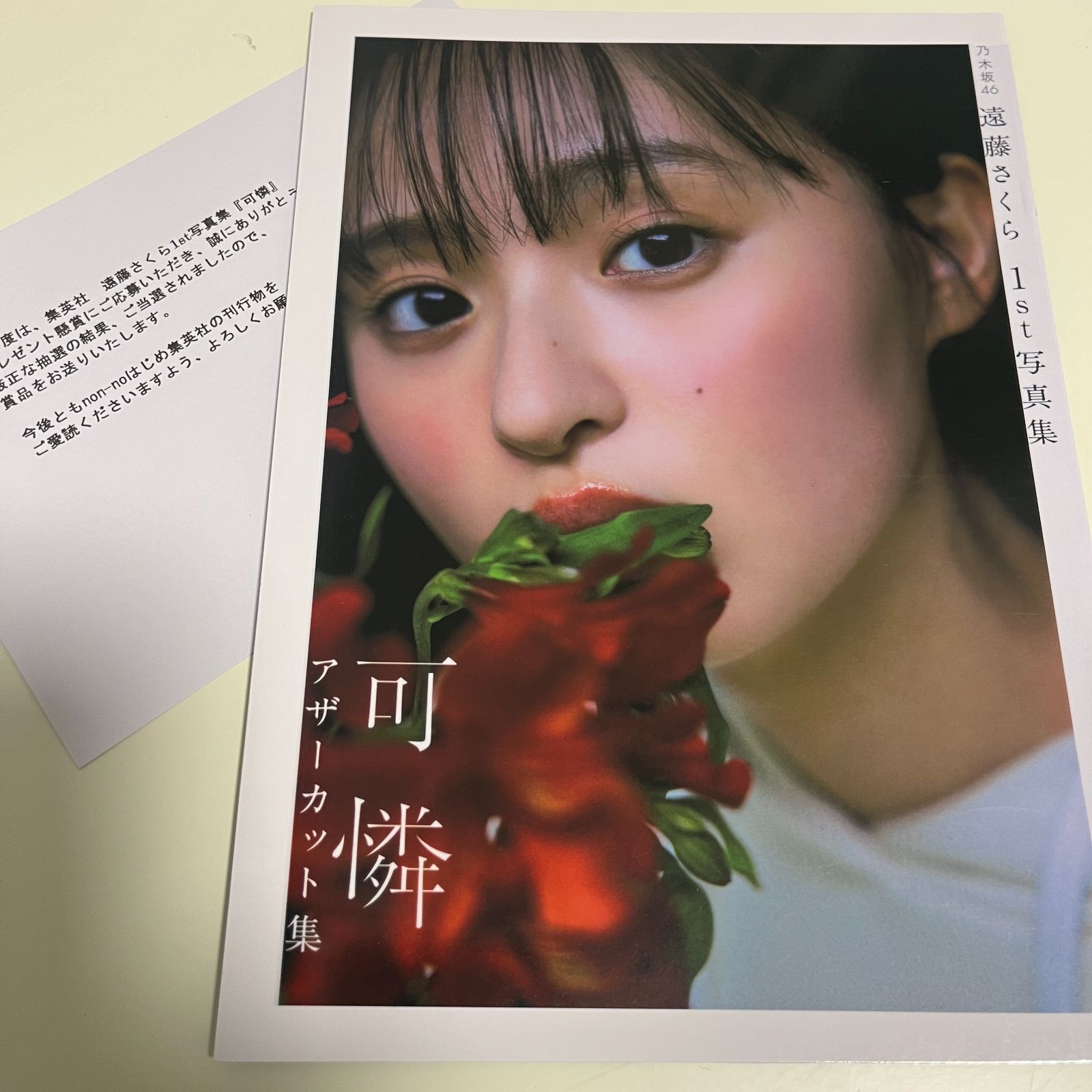 乃木坂46 遠藤さくら 1st写真集 『可憐』 アザーカット ミニブック