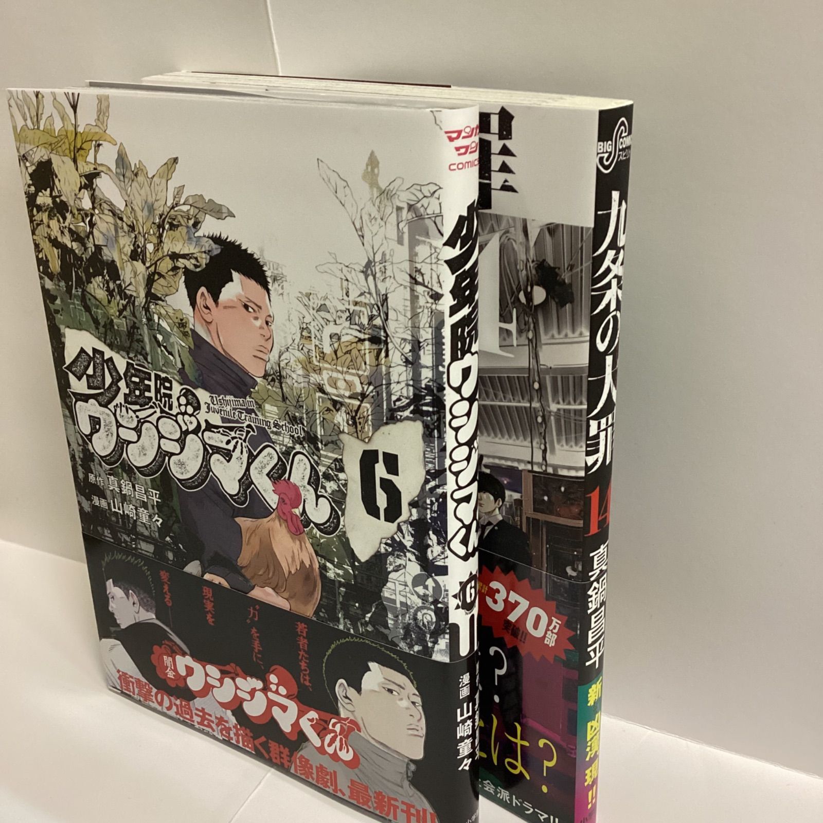 少年院ウシジマくん6, 九条の大罪14 2冊セット 真鍋昌平新刊 - メルカリ