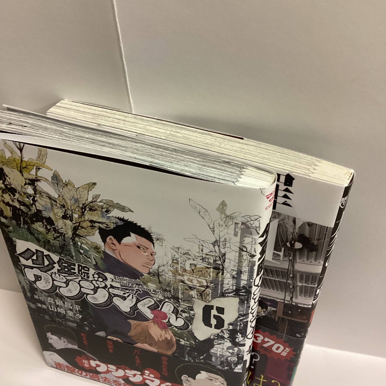 少年院ウシジマくん6, 九条の大罪14 2冊セット 真鍋昌平新刊 - メルカリ