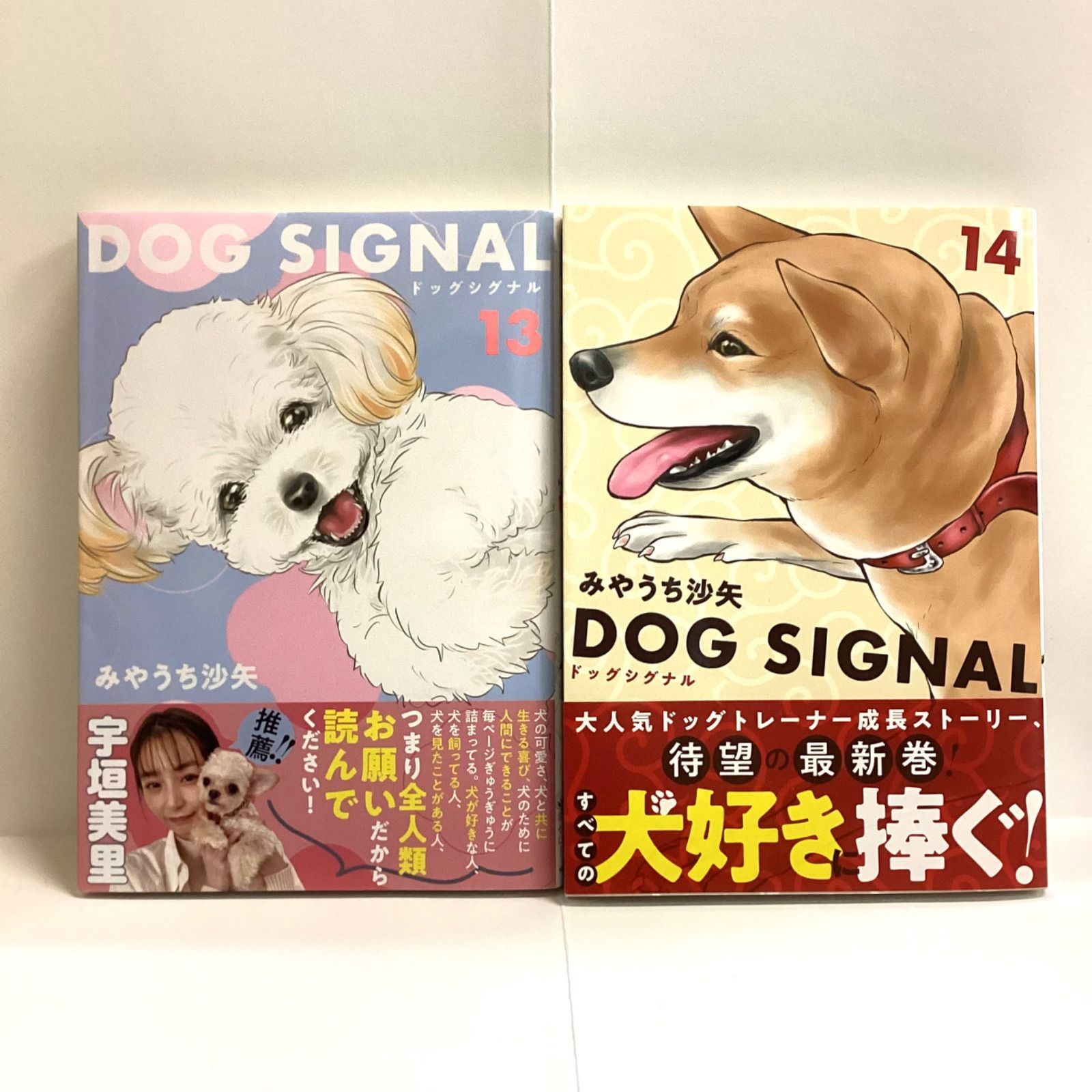 DOG SIGNAL 既刊全巻セット　13巻セット　ドッグシグナル DOG SIGNAL 13,14 2冊セット みやうち沙矢 ドッグシグナル - メルカリ