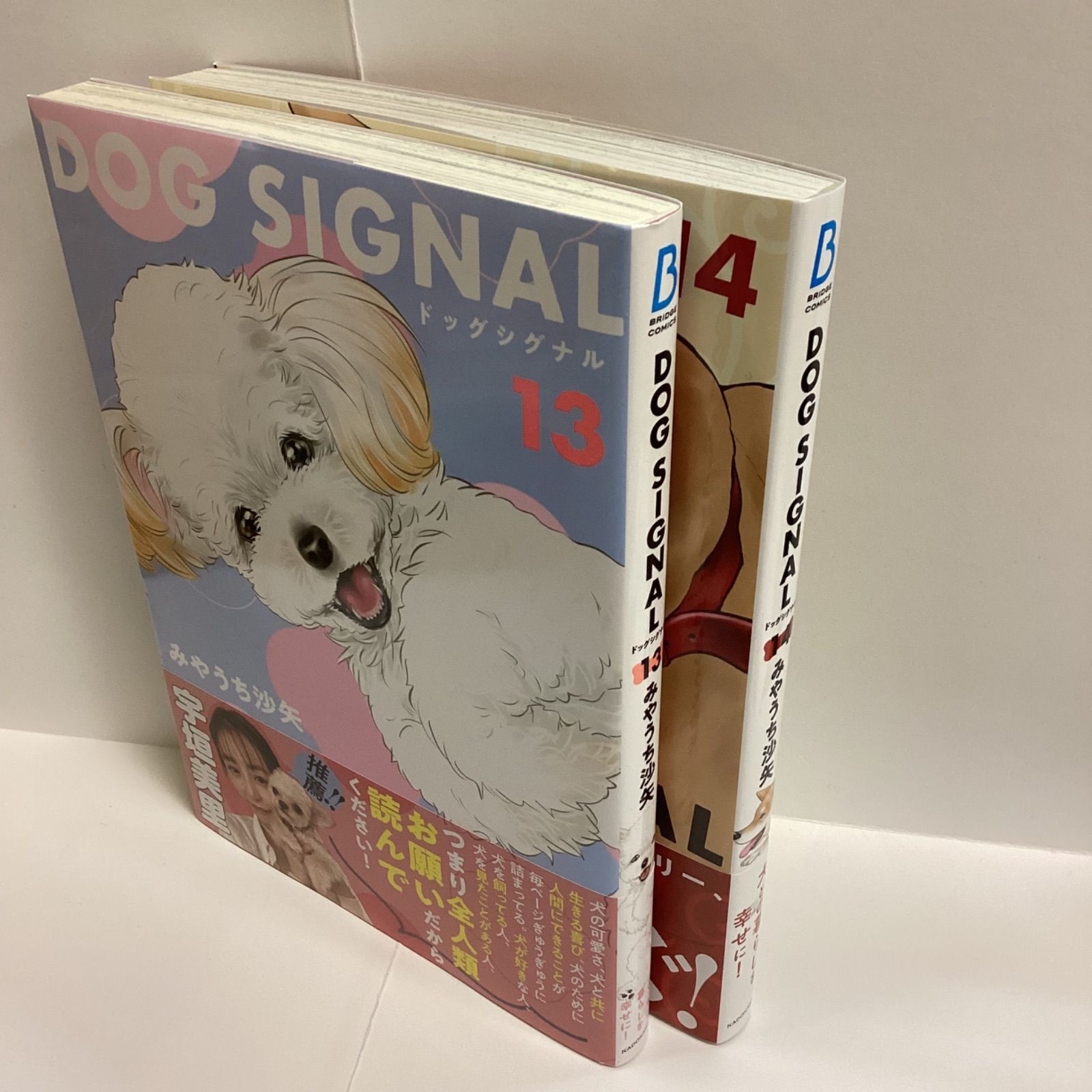 DOG SIGNAL 既刊全巻セット　13巻セット　ドッグシグナル DOG SIGNAL 13,14 2冊セット みやうち沙矢 ドッグシグナル - メルカリ