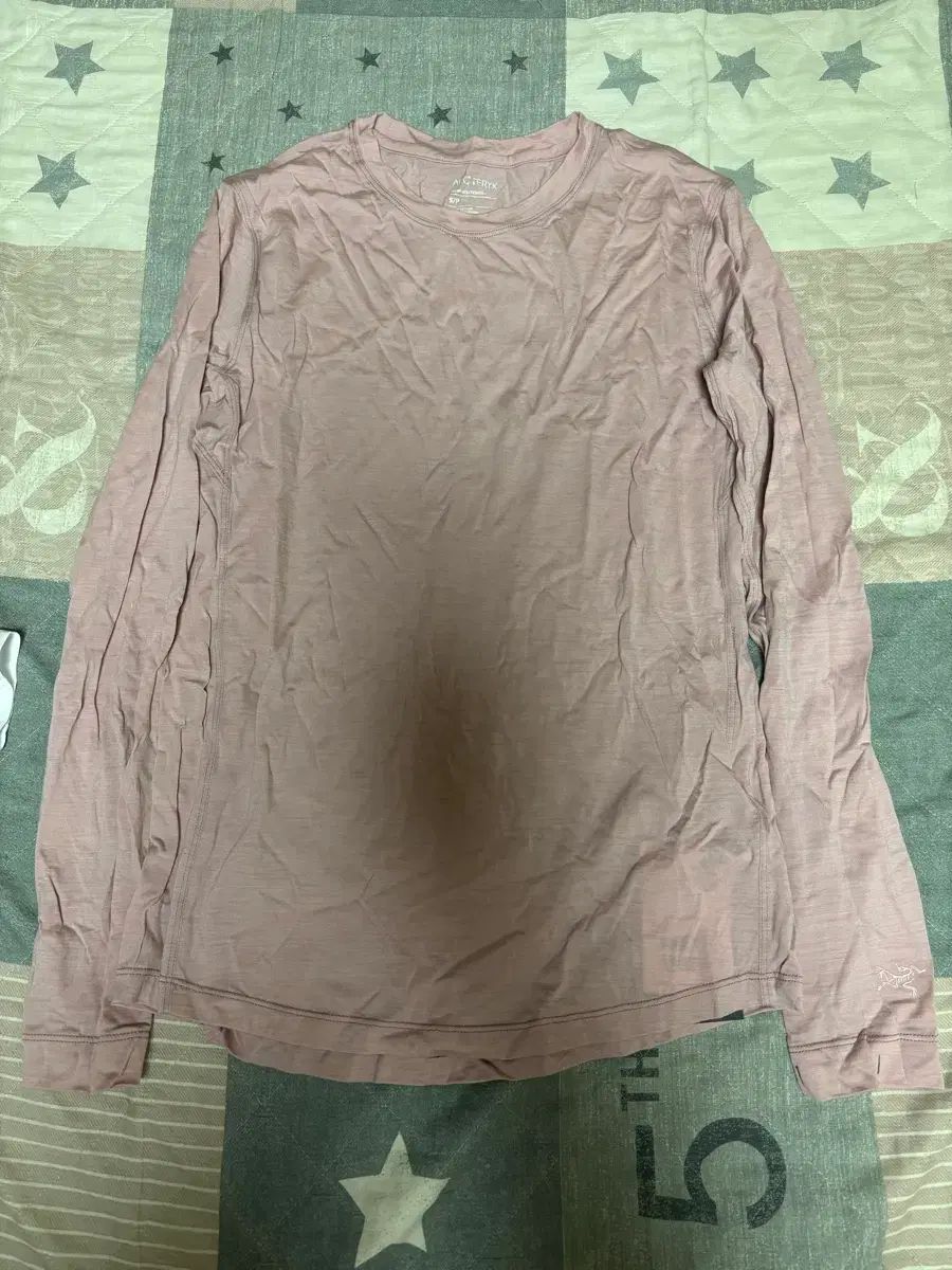 アークテリクス ラナ メリノ ウール Tシャツ S