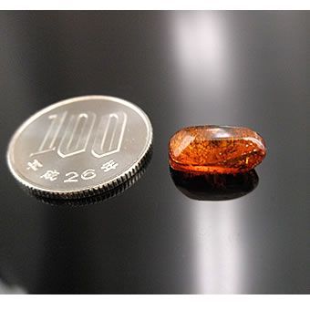 貴重な1点物!!☆虫入り琥珀（ルース）幅：約14mm※拡大写真付き